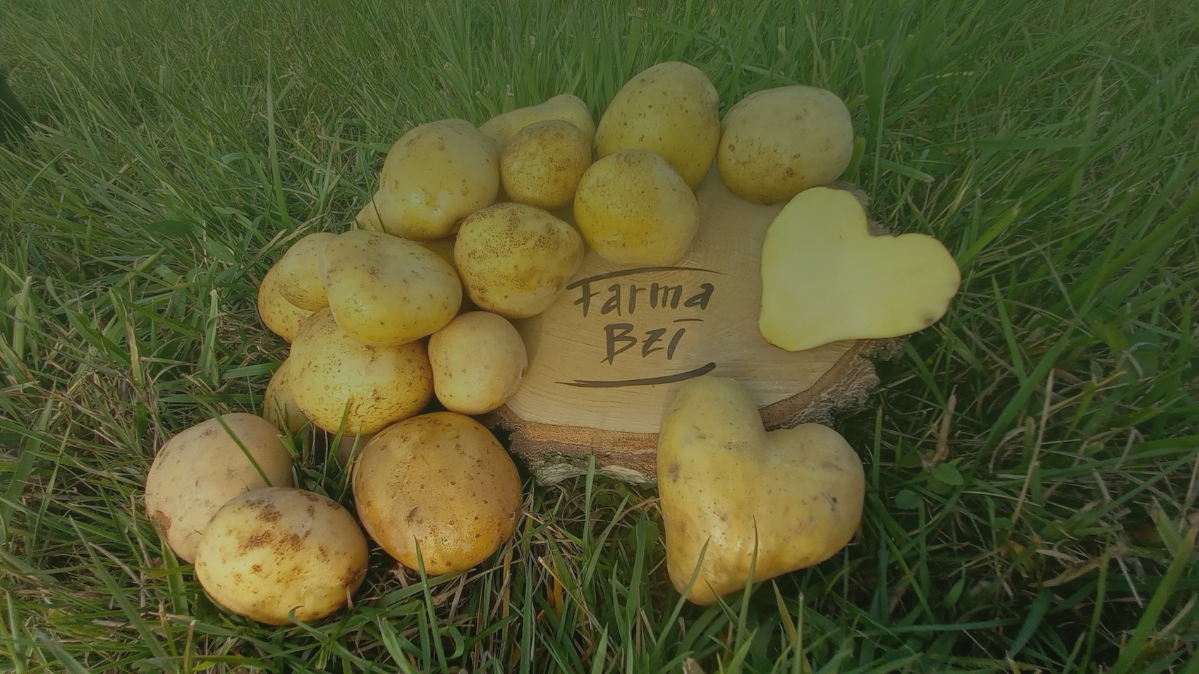 Cover Photography.jpg